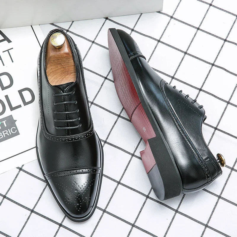 Torino Royal Brogue